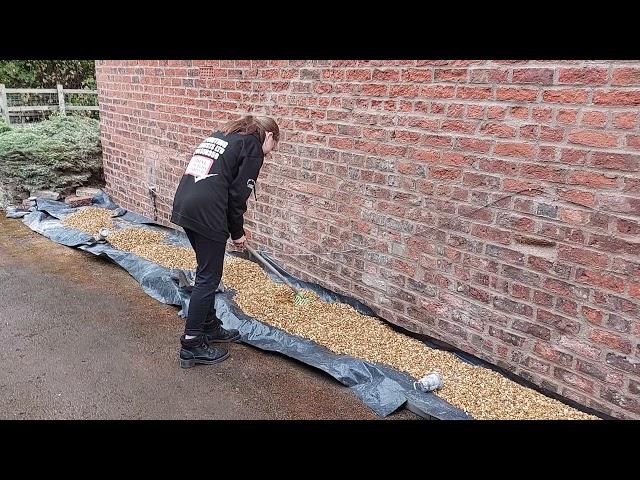 Finished lime mortar pointing of a 150 year old property in Tattenhall, Cheshire