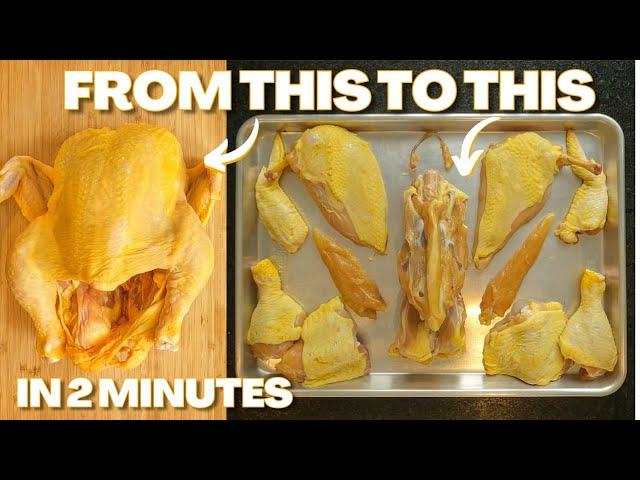 How to Butcher EVERY Type of Bird | A Beginners Guide