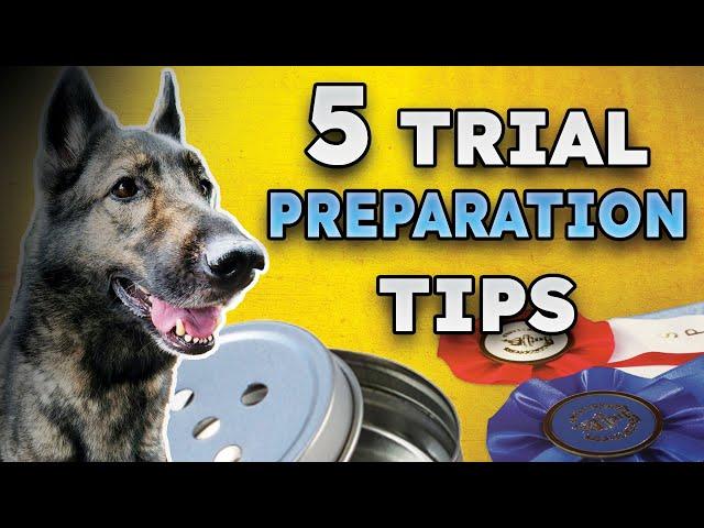 EASIEST 5 Tips to Prepare Dog and Handler for K9 Scent Work Trial