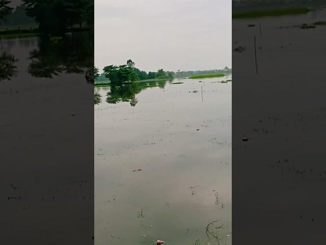 #siddikvlog