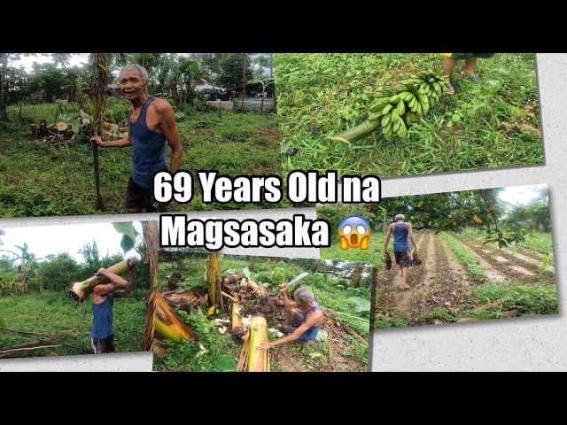 Bumili Kami ng Pantanim na Saging na Saba sa Lolong Magsasaka - Banana Shoots