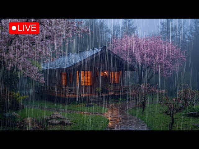 Peaceful Rain In Japanese Garden ️ Rain Sounds for Blissful Sleep, Tranquil Mind & Meditation