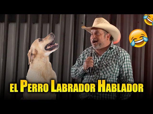 El Perro Labrador Hablador | Hernán El Potro