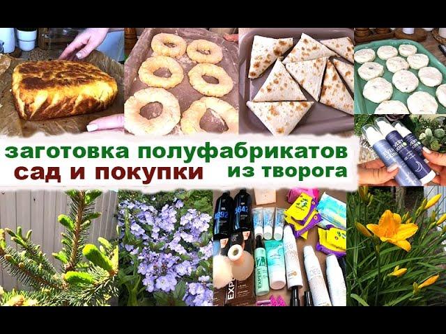Заготовка впрок полуфабрикатов из творога - 5 блюд. ПОКУПКИ и мой САД