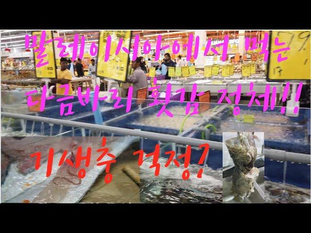 말레이시아서 내가 먹은 다금바리 횟감의 정체 (기생충, 먹어도 되나??)