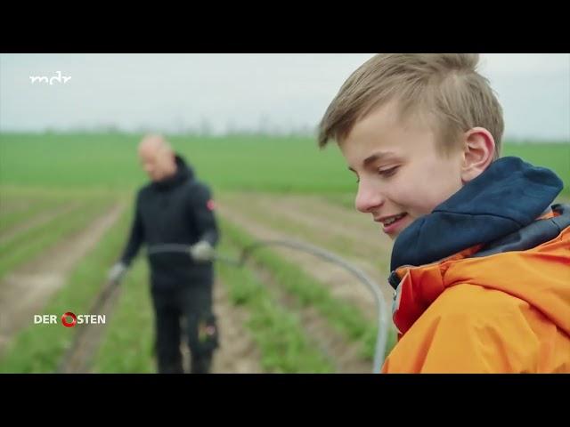 Der Osten - Entdecke wo du lebst: Pfingstrosen und Tulpen - Mitteldeutschlands Blumenmeer Doku 2024