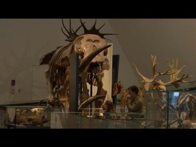 Royal Ontario Museum reopens to the public