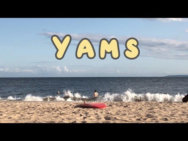 Jupie - Yams (Official Video)