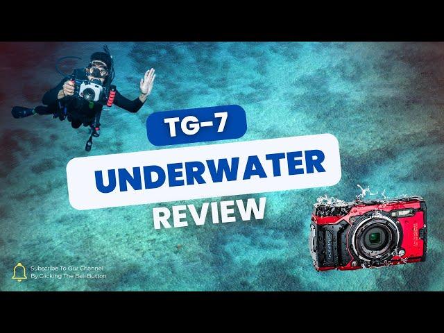 OM System (Olympus) TG-7 Review | Don't Upgrade!