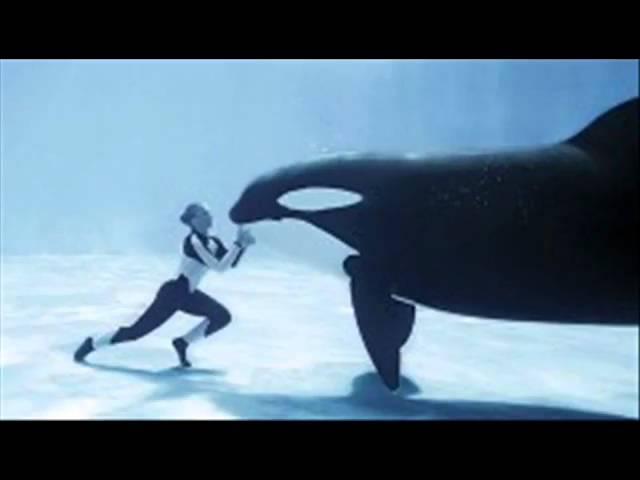 dj aLeXaNdRu nIkA.wmv