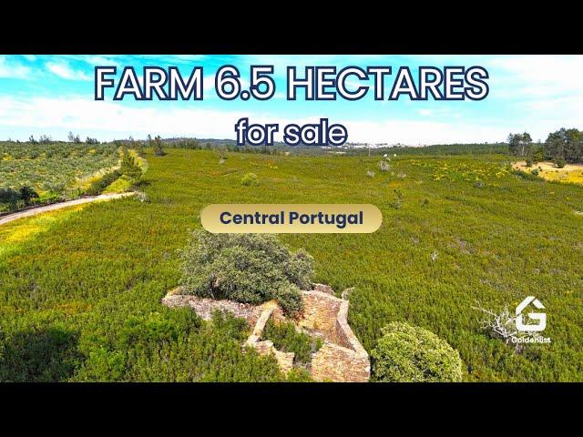   SOLD | 6.5 hectares for sale in Central Portugal