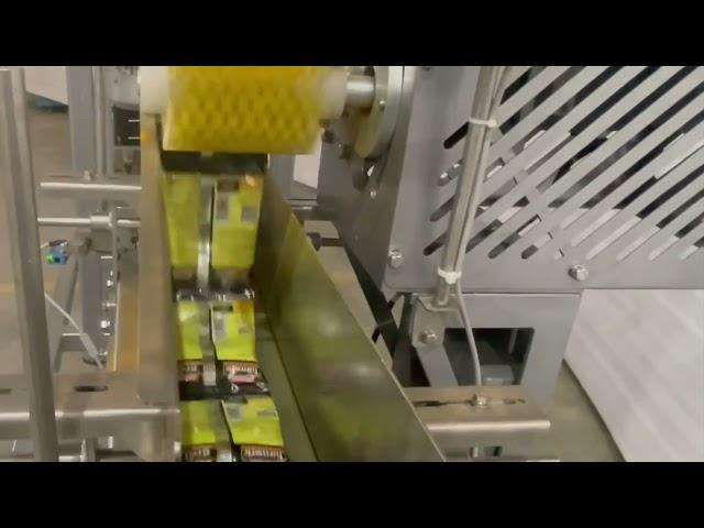 Strip Packaging Machine: Secondary Packaging Automation | Spice Packaging