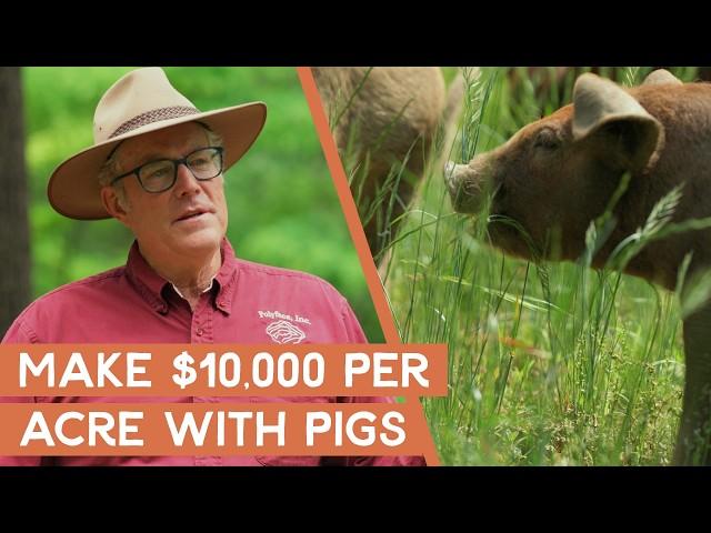 How to take marginal land and turn it into $10,000/acre with pigs | Joel Salatin