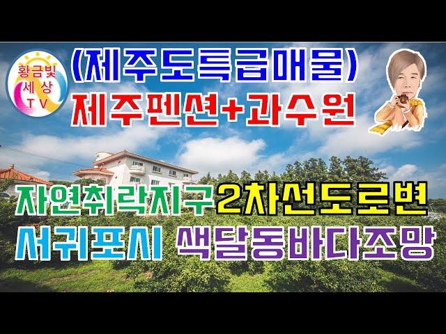 ️제주도특급매물️제주펜션+과수원 2차선도로변 자연취락지구토지 서귀포시 색달동 색달동펜션 제주도펜션매물 아름다운펜션 바다조망가능 황금빛세상TV 발품부동산제주 쇼킹부동산제주