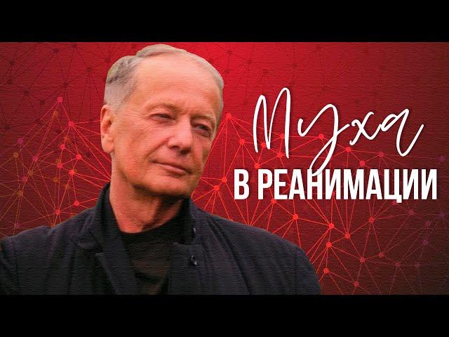 Михаил Задорнов - Муха в реанимации |  Лучшее из юмористических концертов @BestPlayerMusic