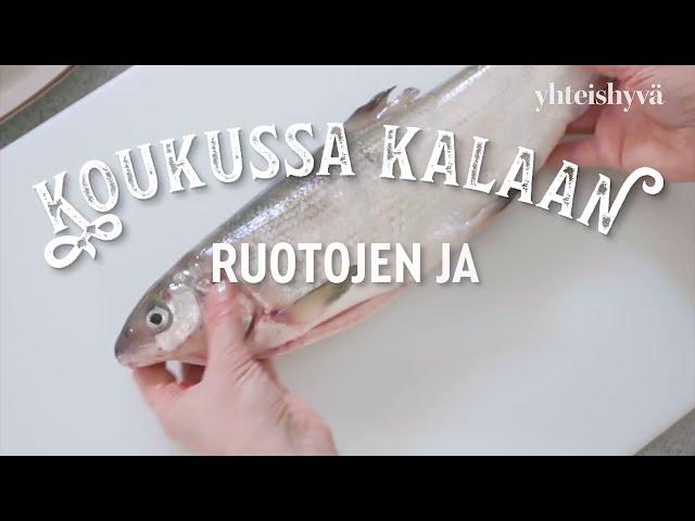 Ruotojen ja nahan poisto siikafileestä – Yhteishyvä