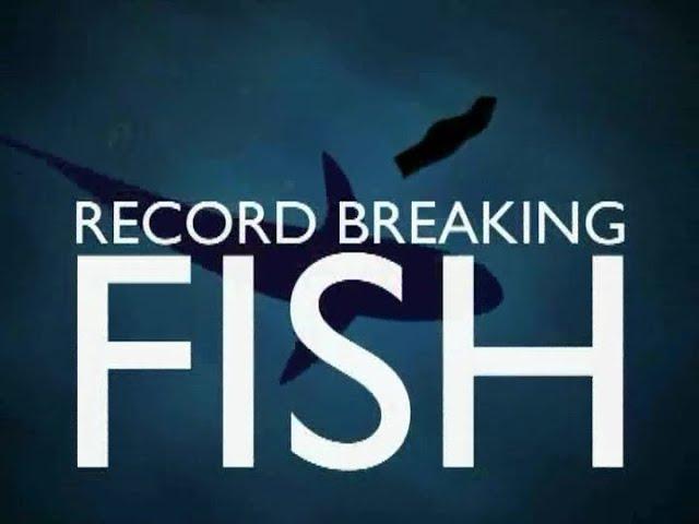 Record Breaking Fish - Llandegford - Roach & Bream - Matt Hayes & Mick Brown