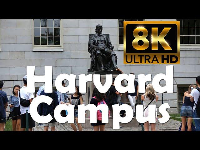 Harvard University | 8K Campus Drone Tour