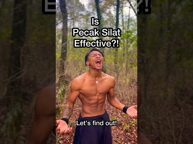 Pencak Silat vs MMA! #pencaksilat #shorts