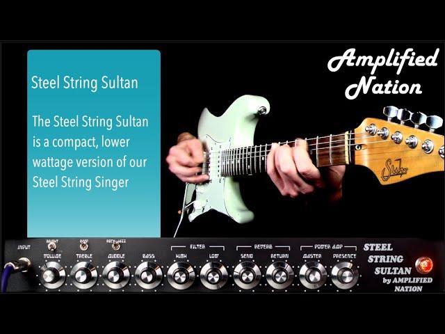 Amplified Nation Steel String Sultan