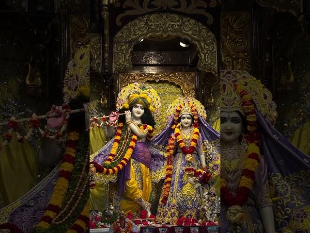 ISKCON 🪈 | Abids | HARE KRISHNA| KRISHNA          #harekrishna #iskcontemple #abids #trending