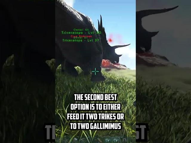 How to tame ARK's STRONGEST Dino | Carcharodontosaurus Tame Guide