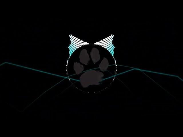 stickypaw - Furality Sylva Drum & Bass Set