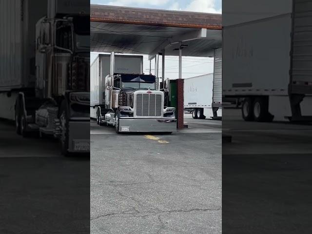 Badass 389 Peterbilt