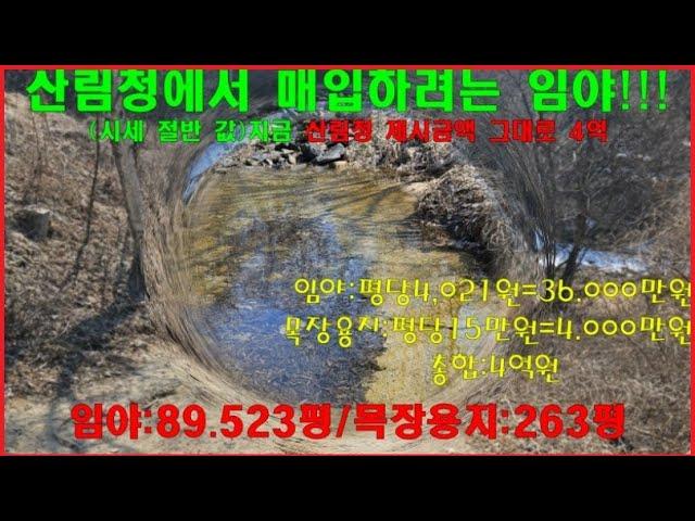 산림청에서 매압할려는 임야!!!  급매처분(오타가 생겨 재업로드 했읍니다)