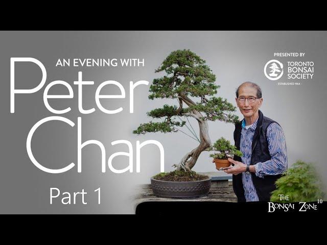 An Evening with Peter Chan, Part 1, The Bonsai Zone, July 2023