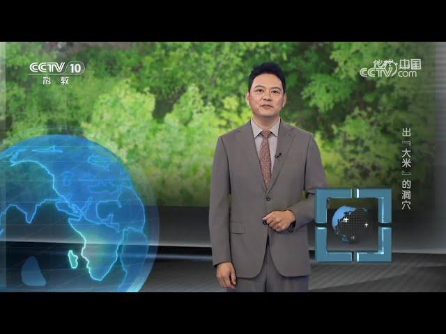 《地理·中国》 20241229 出“大米”的洞穴 | CCTV科教