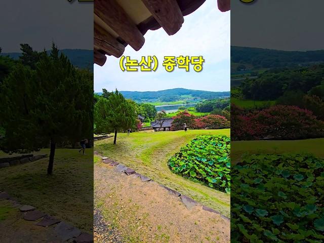 배롱나무 꽃 명소. 논산 종학당