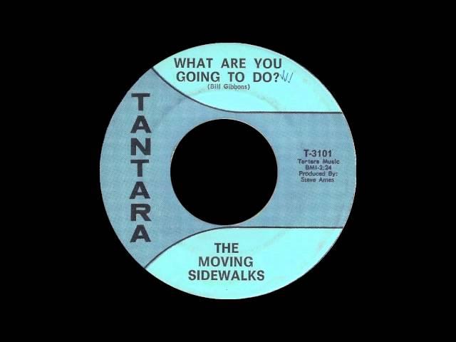 The Moving Sidewalks - What Are You Going To Do?