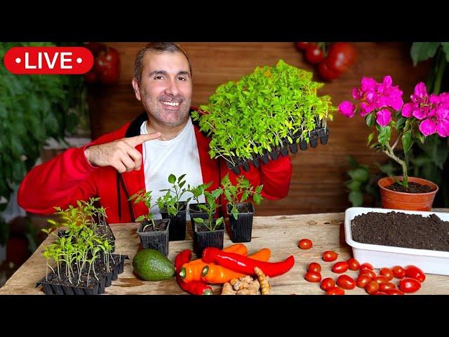  Potenciar Cultivos de PRIMAVERA - Tomate Ají Pimientos Maíz - Aumenta la Cosecha