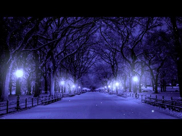 Snowy Park Sonata: Music for Deep Sleep, Relaxation, Study, and Depression Relief