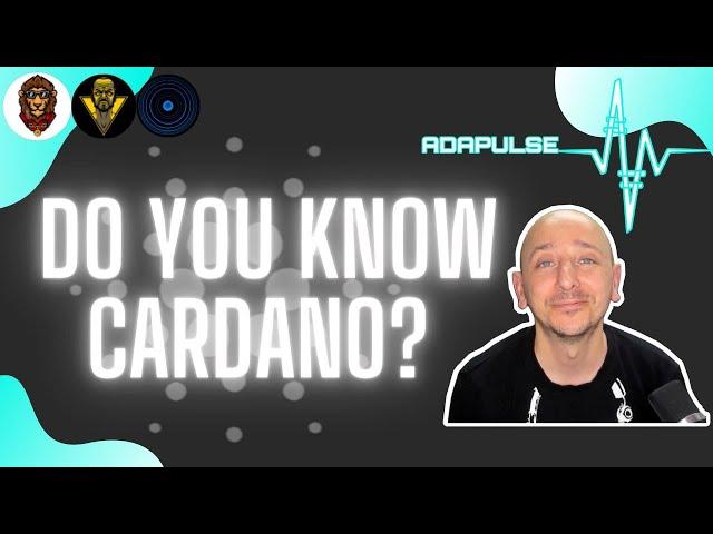 What is Cardano and how does it work?