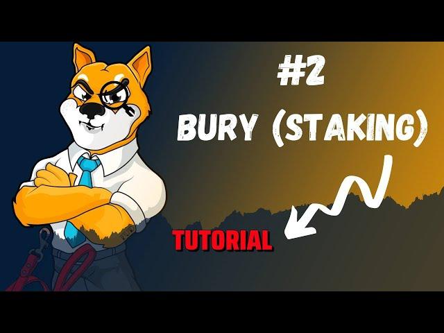 #2 SHIBA INU (SHIB) SHIBASWAP: BURY TUTORIAL (STAKING)