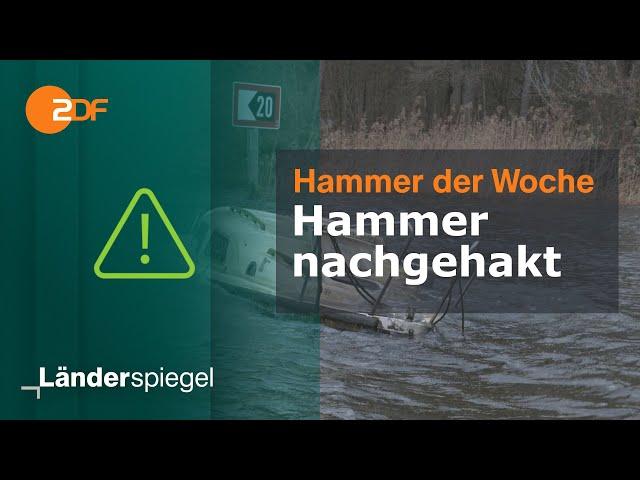 Hammer nachgehakt | Hammer der Woche vom 07.09.24 | ZDF