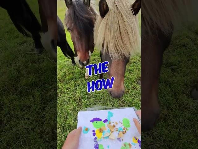 The BEST Horse Painting Experience in JUST 1 DAY!  