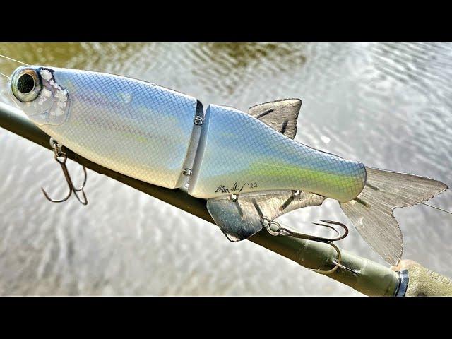 Making a MoonEye Fish SwimBait with Clear Jointed Fins