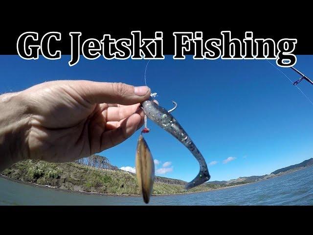 How to catch fish with softbaits, Trevally on soft plastics swimbaits