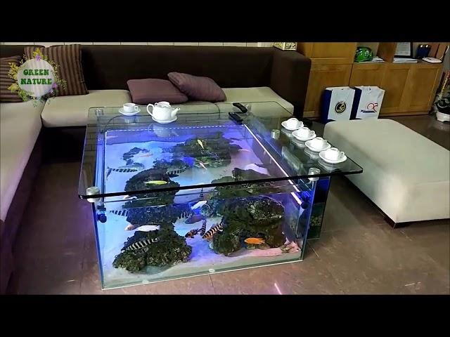 Aquarium in coffee table | Soi Pets 