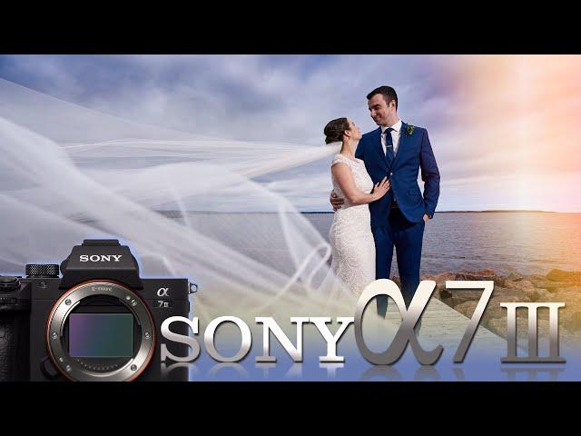 Sony a7iii - Wedding Photographer’s Review