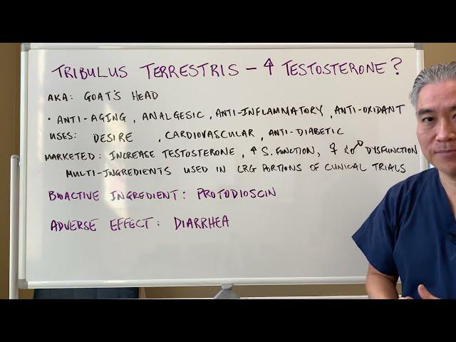 Tribulus Terrestris--Increase Testosterone?