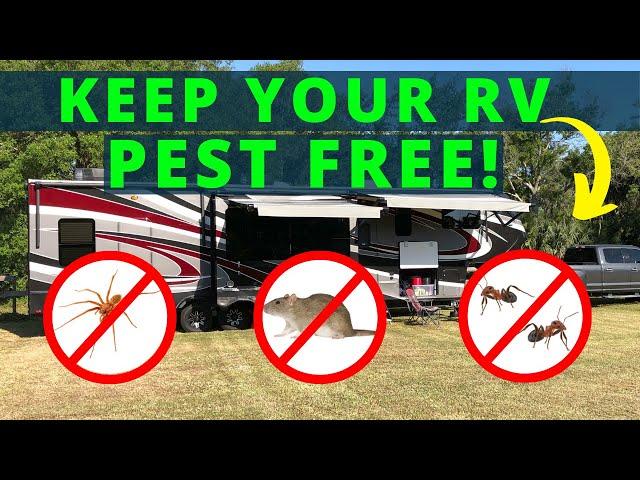 RV Pest Control (Avoid Rodents / Bugs / Spiders)!