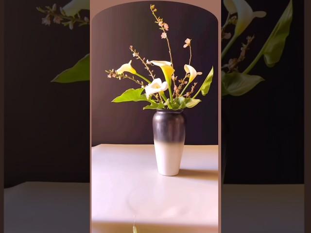 White Calla Lilies and Plum Blossoms: A Harmonious Floral Display #flowers