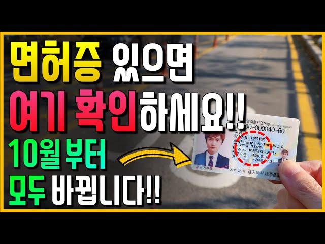 10월부터! 운전면허증 있으면 여기 확인하세요!! 모두 바뀝니다!