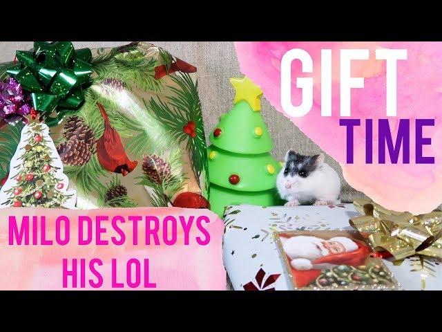 Spoiling My Pets | Animals Opening Christmas Presents