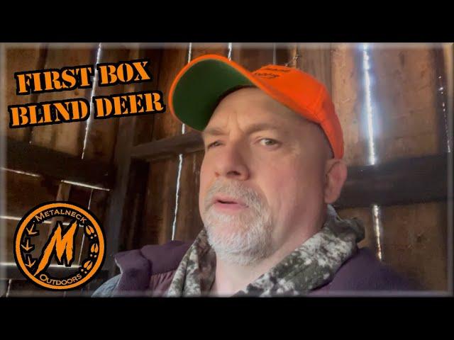 First Deer In A Shooting House: Tips For Success