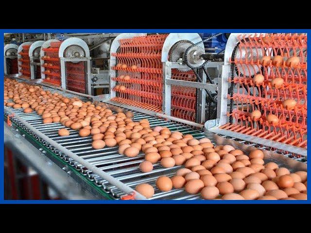 Food Industry Machines That Are Next Level ▶1